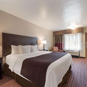 King Room Disability Access